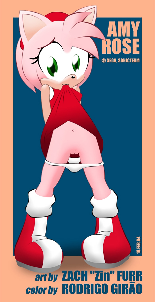 Porn image Amy Rose 2 rule 34