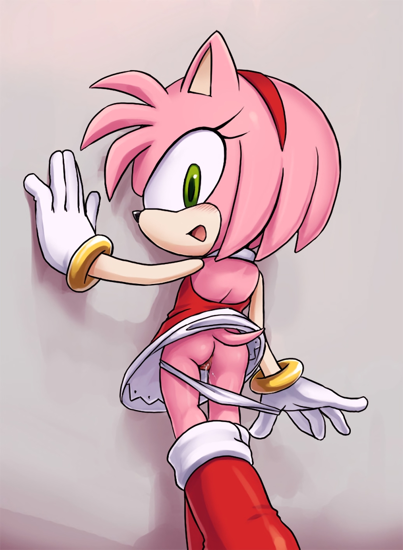 Porn image Amy Rose 2 rule 34
