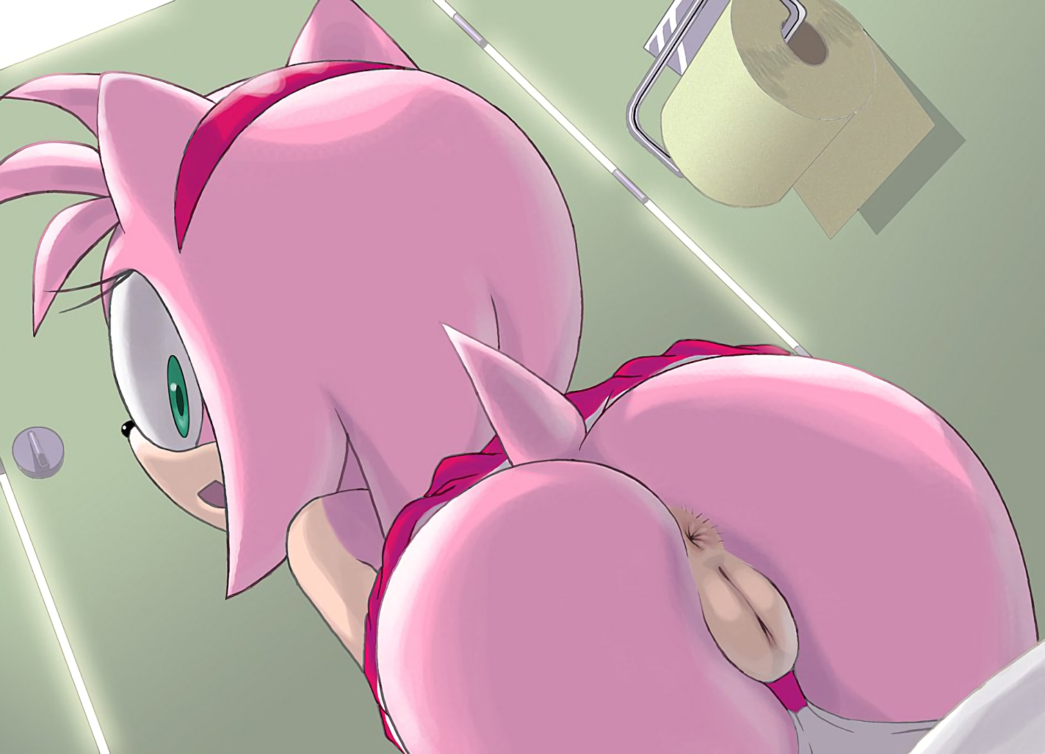 Porn image Amy Rose 2 rule 34