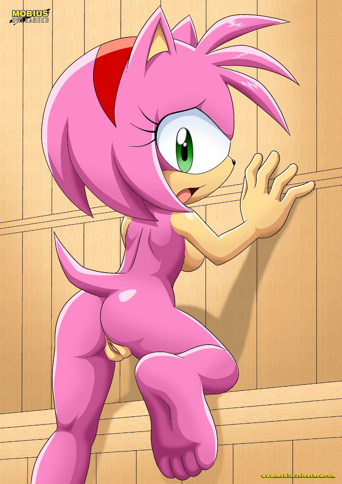 Porn image Amy Rose 2 rule 34
