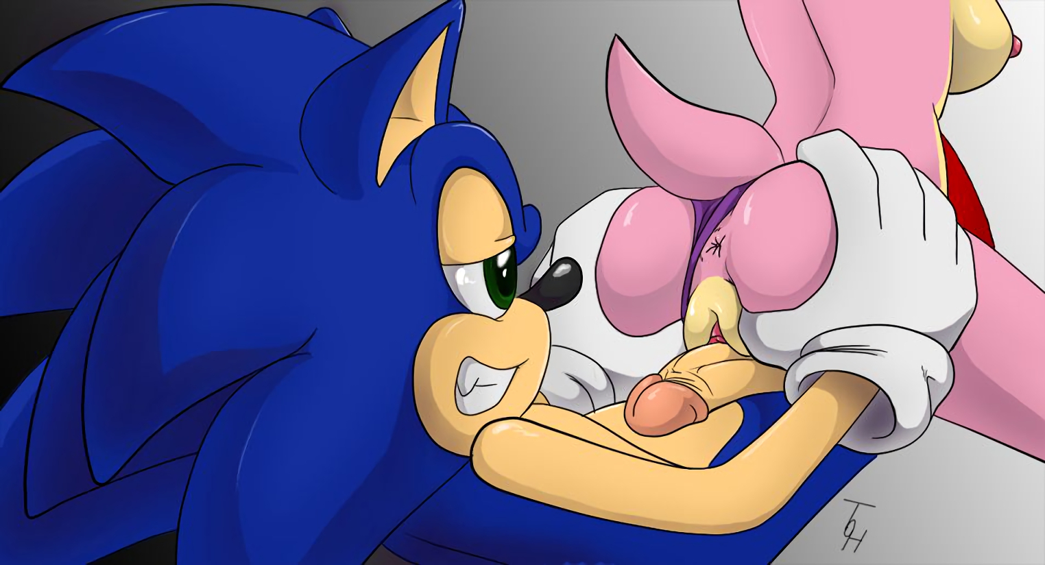 Porn image Amy Rose 2 rule 34