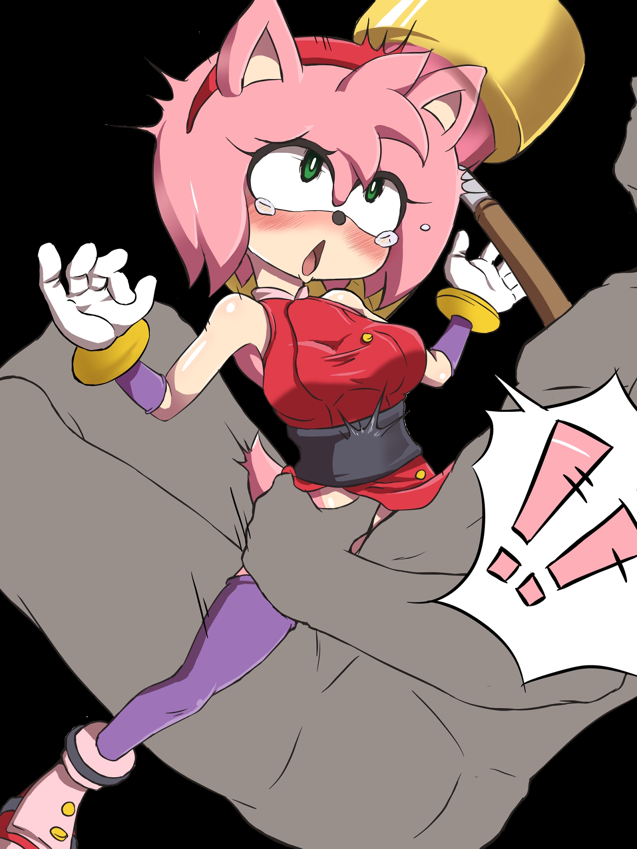 Porn image Amy Rose 2 rule 34