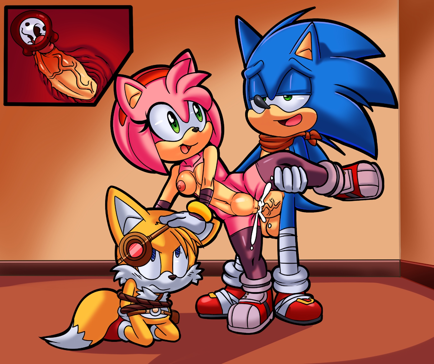 Porn image Amy Rose 2 rule 34