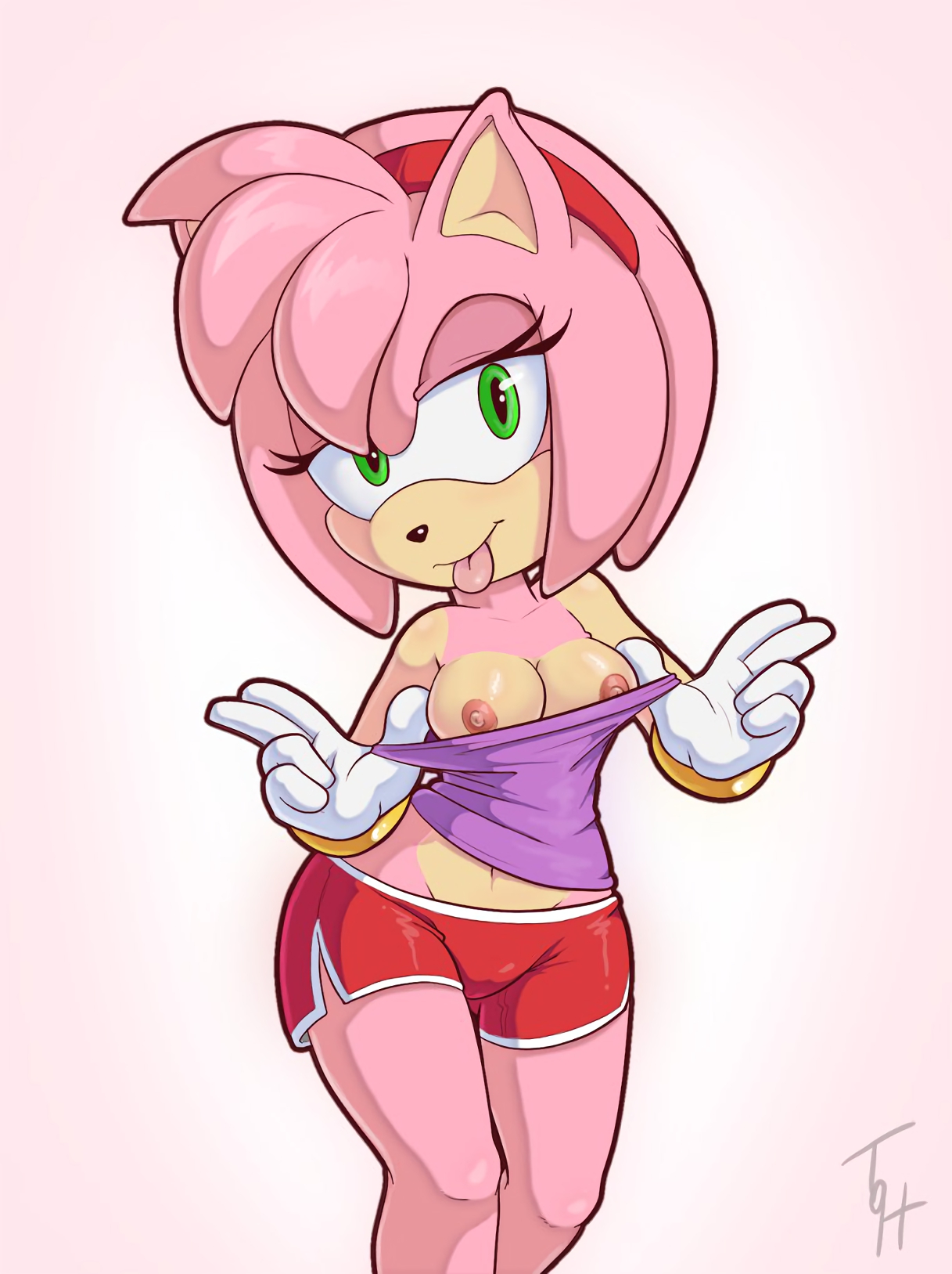 Porn image Amy Rose 2 rule 34