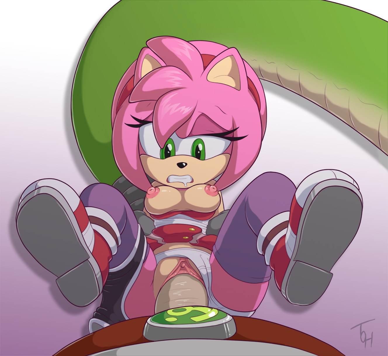 Porn image Amy Rose 2 rule 34
