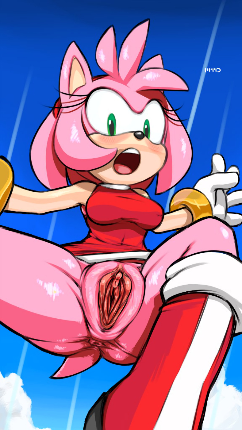 Porn image Amy Rose 2 rule 34