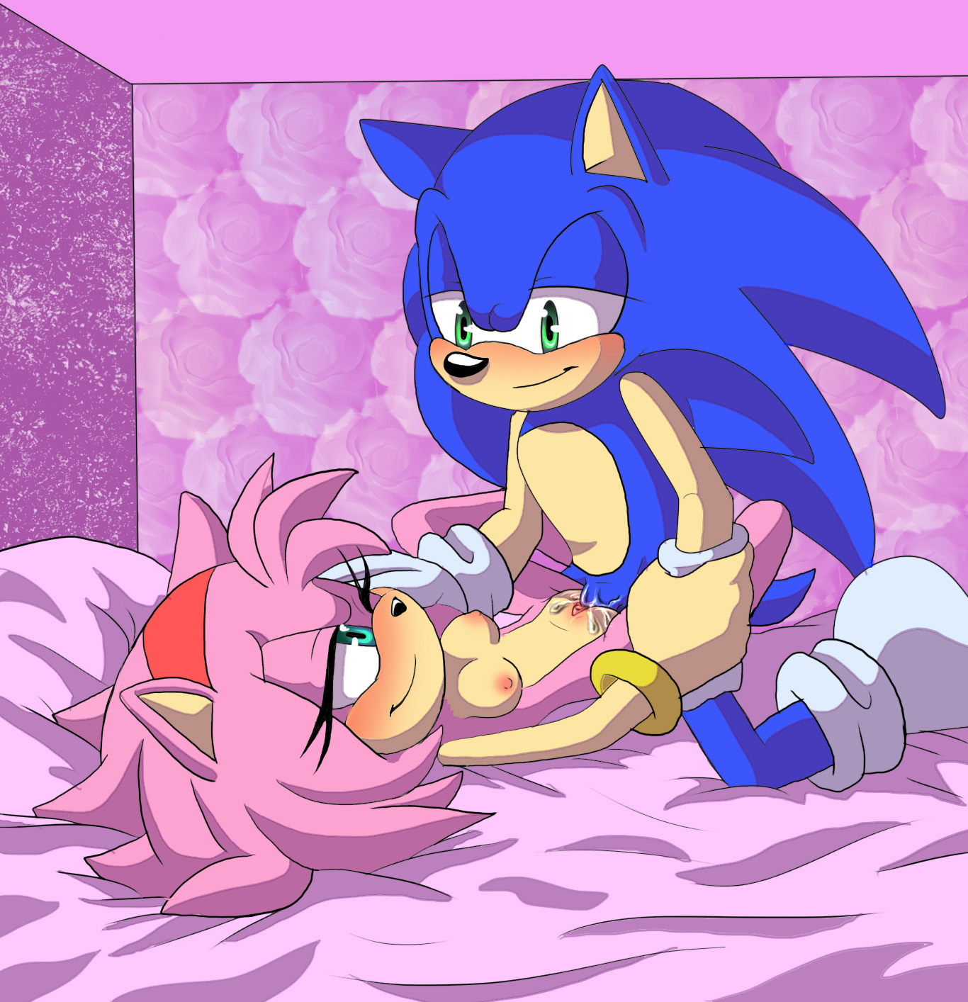 Porn image Amy Rose 2 rule 34