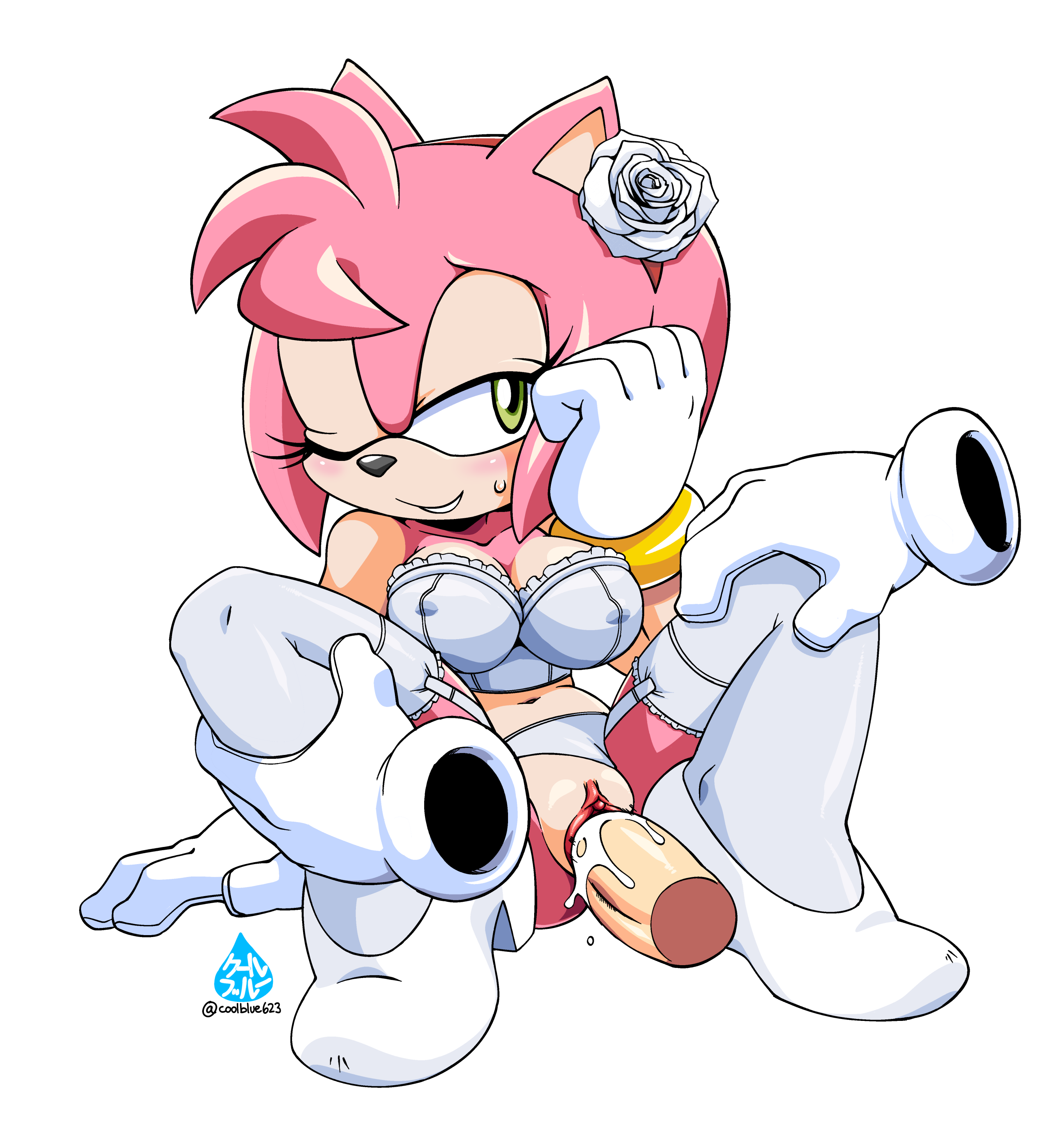 Porn image Amy Rose 2 rule 34