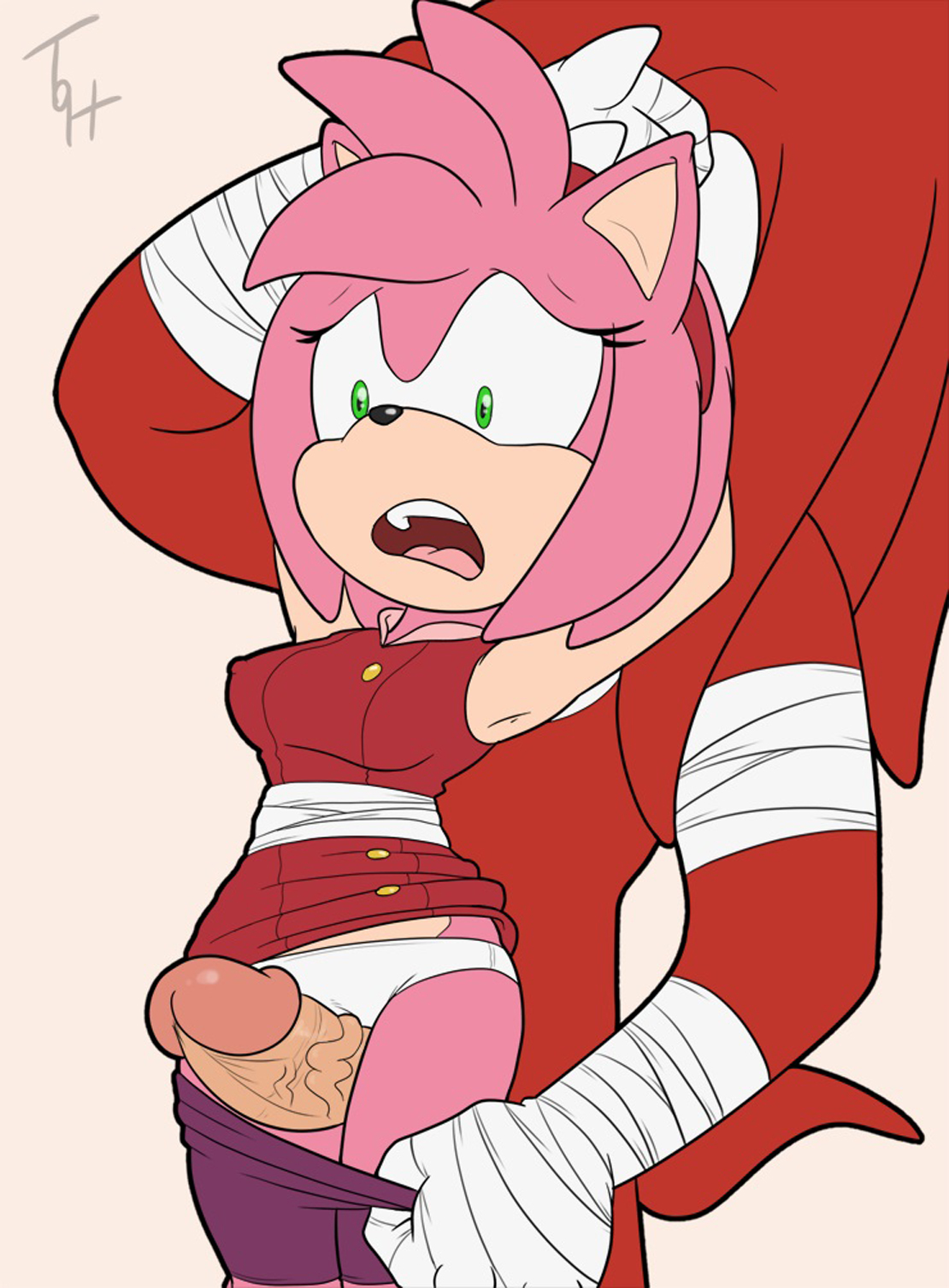 Porn image Amy Rose 2 rule 34