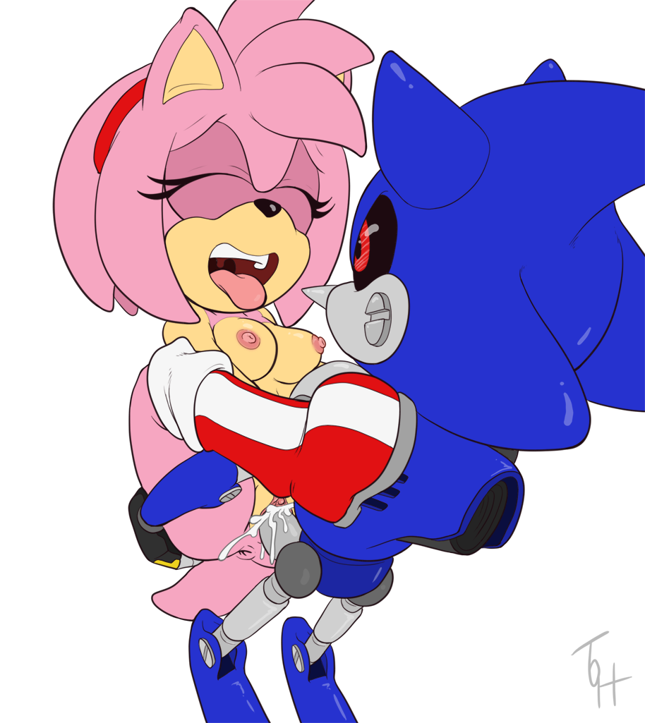 Porn image Amy Rose 2 rule 34