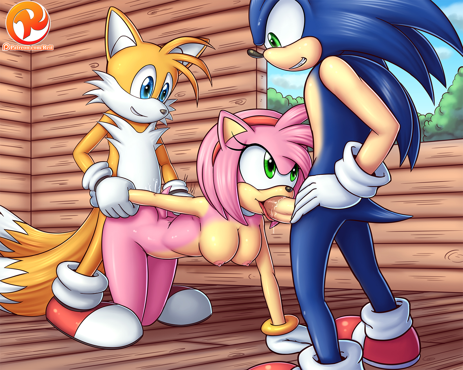 Porn image Amy Rose 2 rule 34