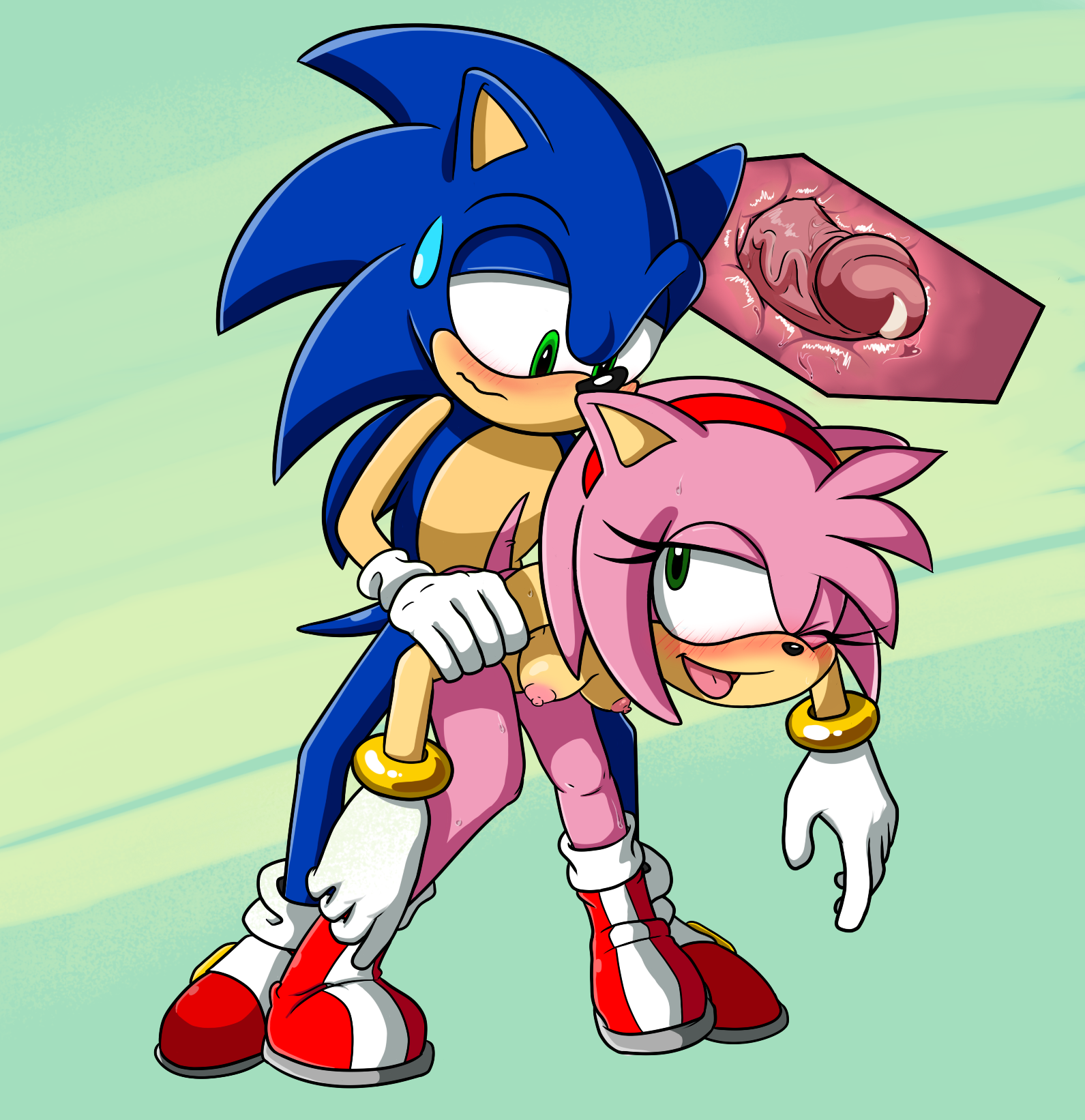 Porn image Amy Rose 2 rule 34