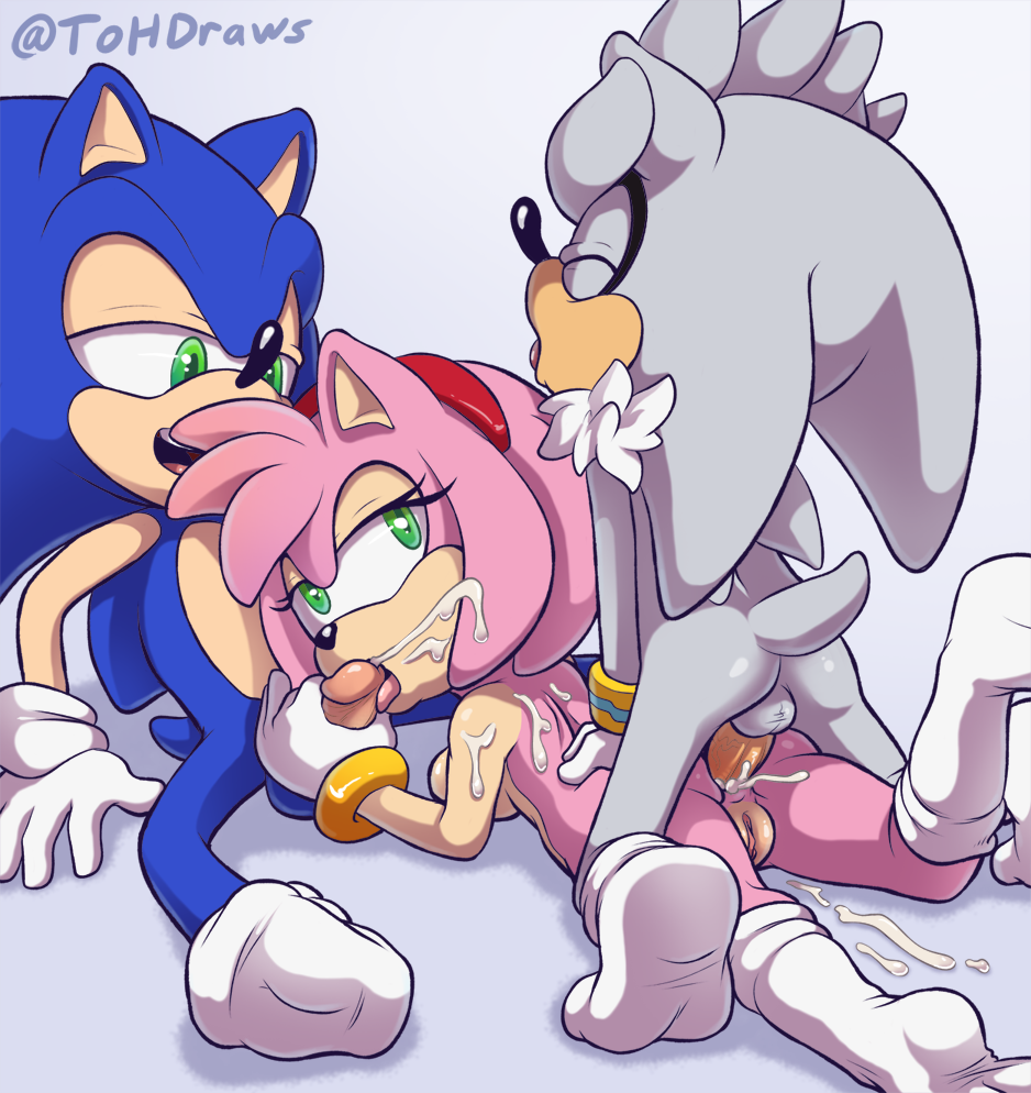 Porn image Amy Rose 2 rule 34
