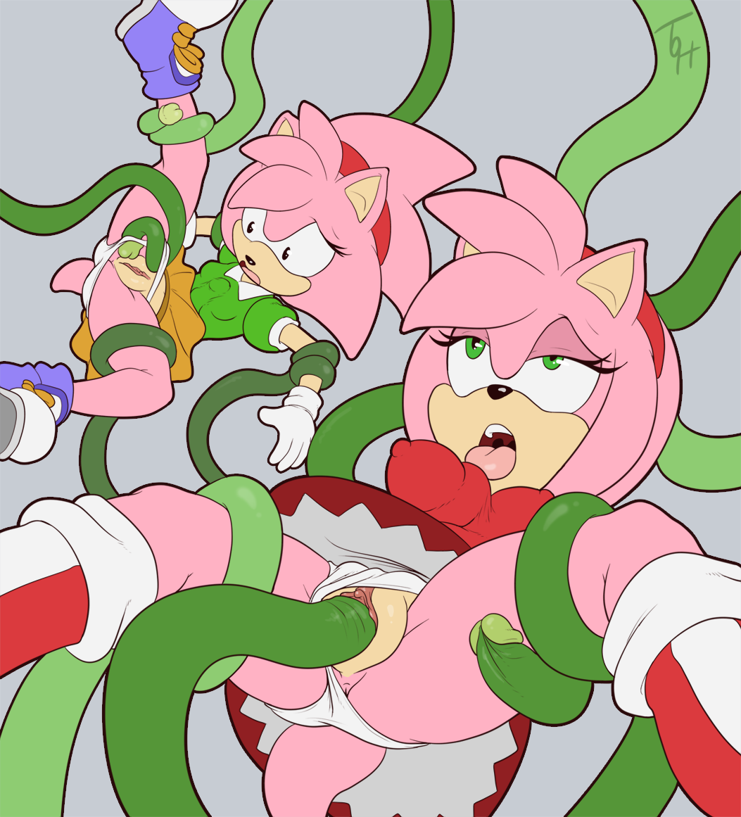 Porn image Amy Rose 2 rule 34