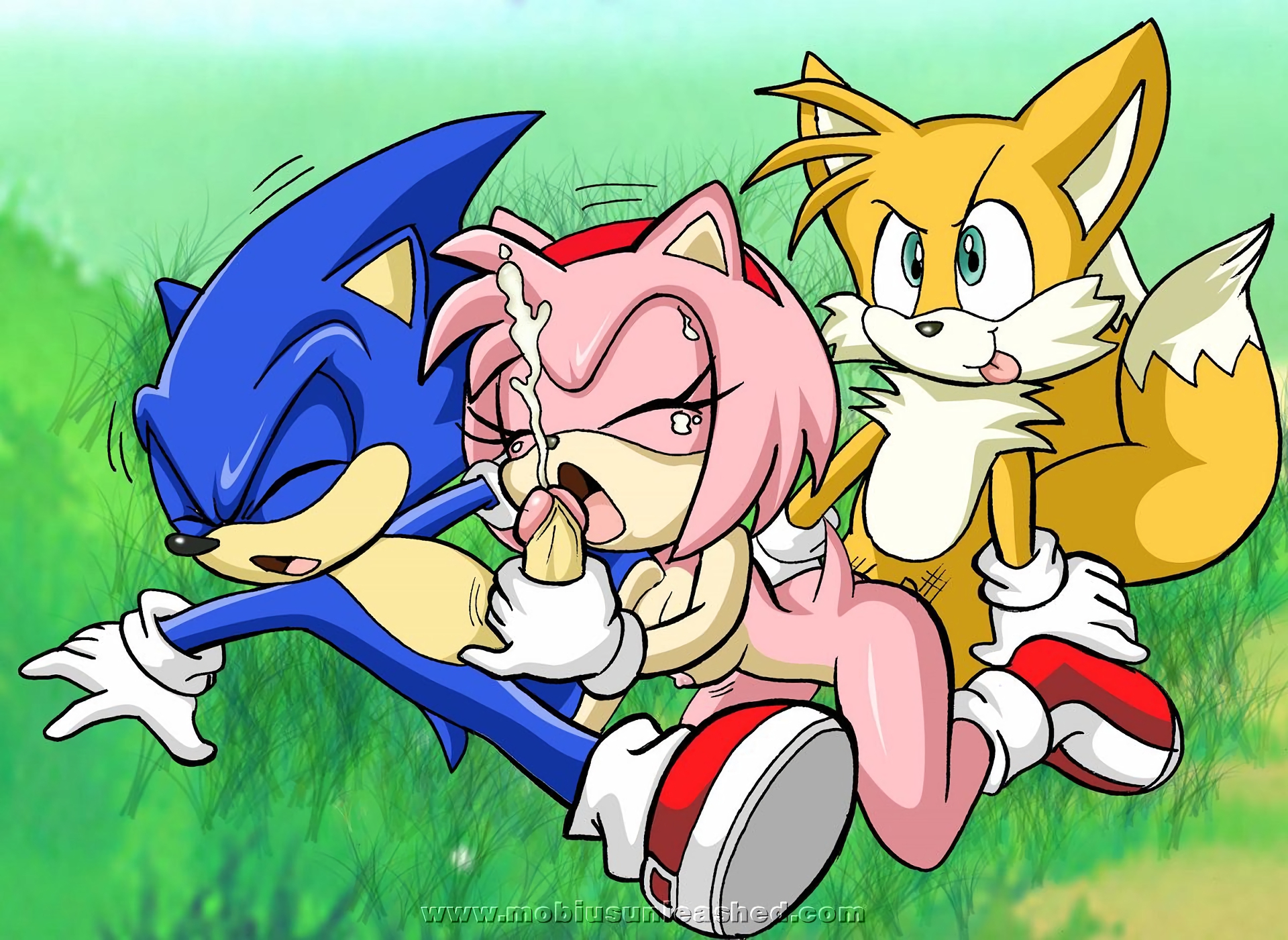 Porn image Amy Rose 2 rule 34